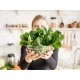 5 продуктов, которые защищают от фотостарения