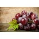7 полезных продуктов, которые замедляют старение