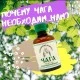 10 фактов о пользе Чаги