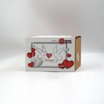 Пенал №16 - 14 Февраля